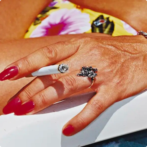 Voyager project image 2