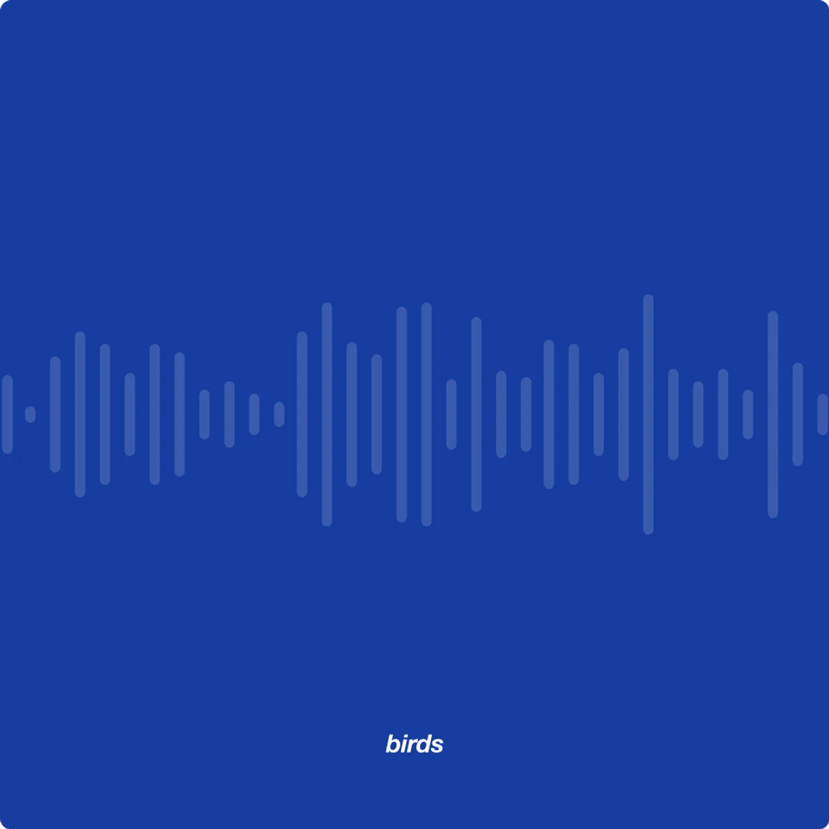 Voyager project image 4