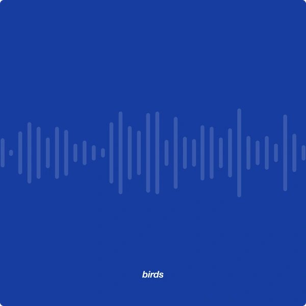 Voyager project image 4