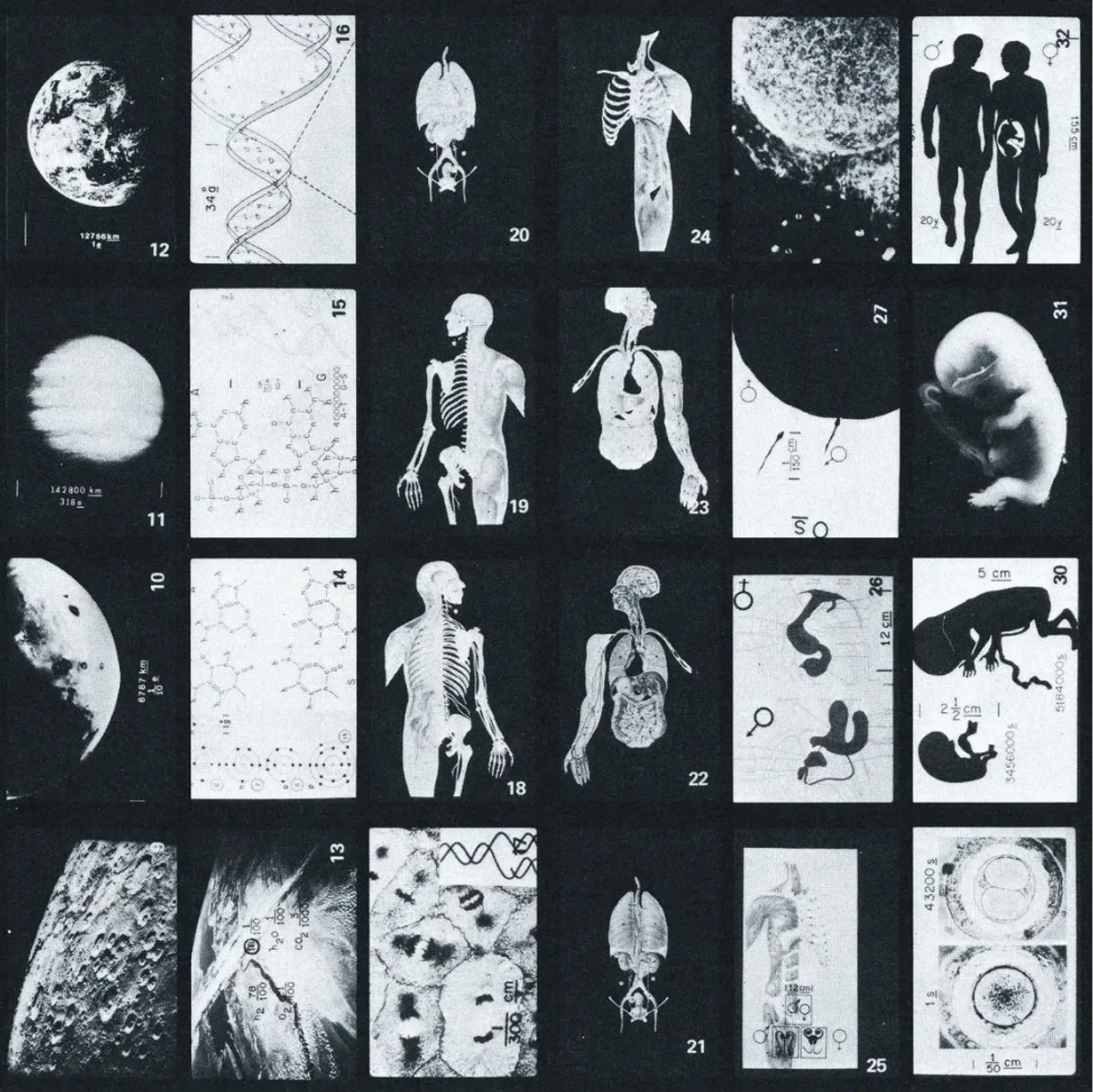 Voyager project image 11