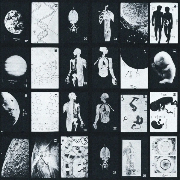 Voyager project image 11