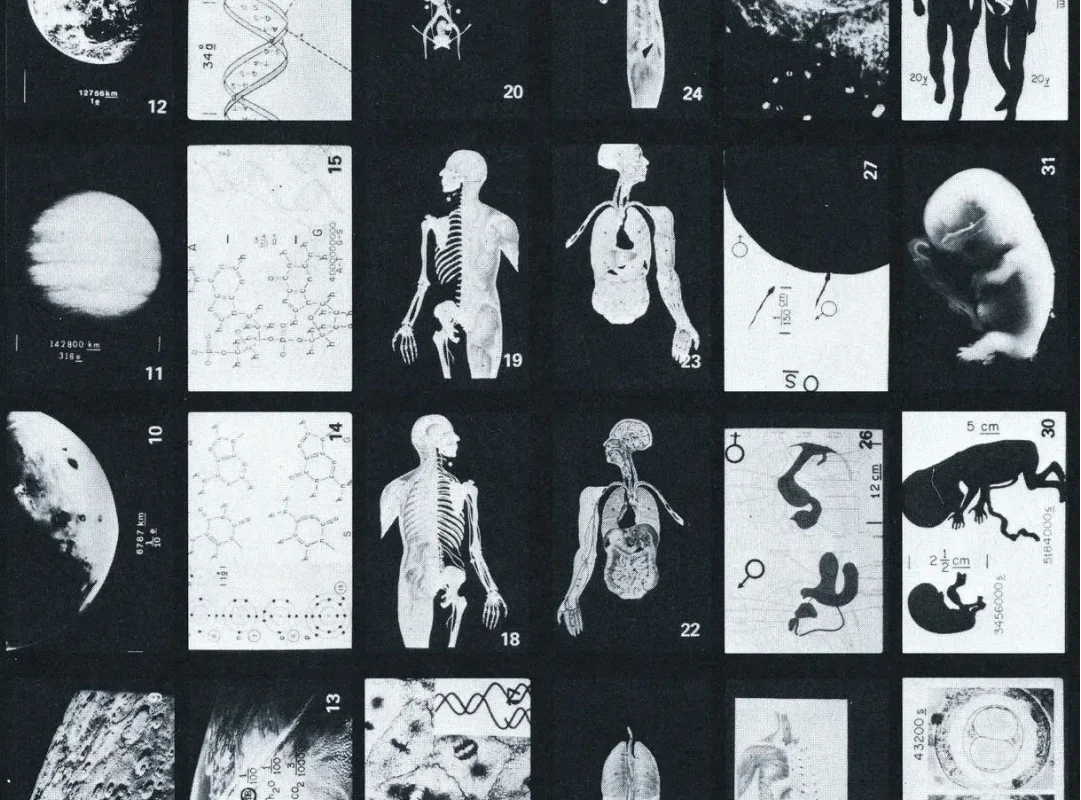 Voyager project image 11