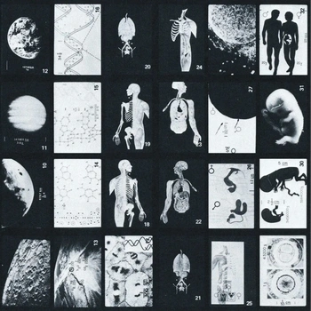 Voyager project image 11