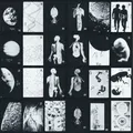 Voyager project image 11
