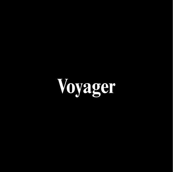 Voyager project image 19