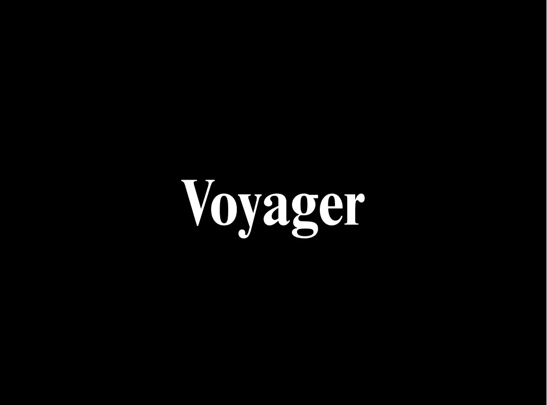 Voyager project image 19