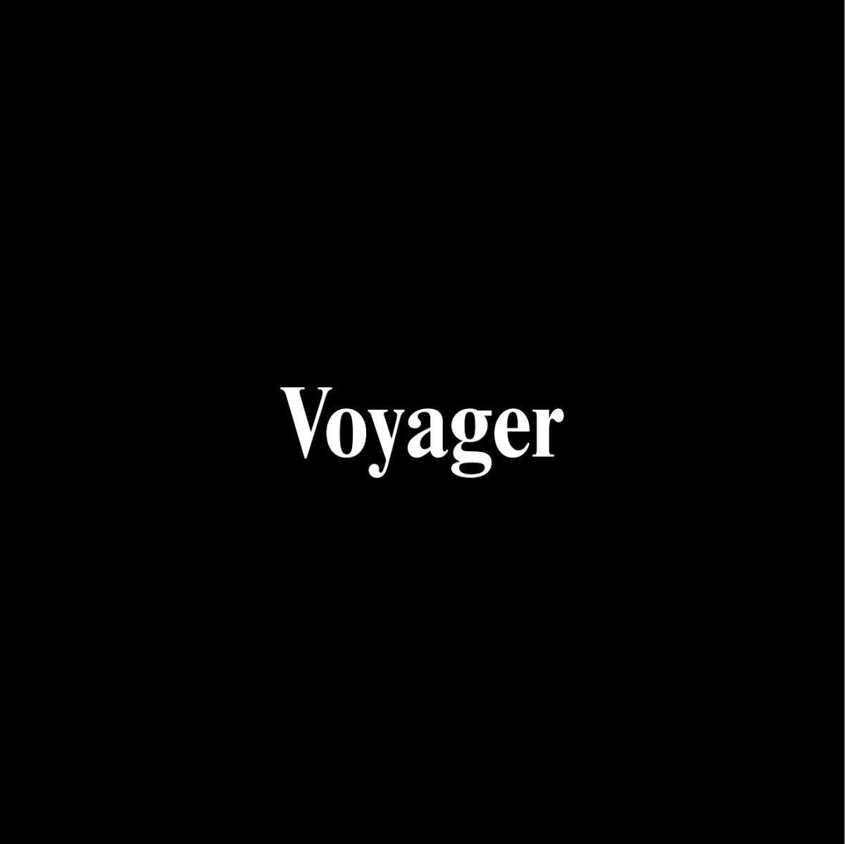 Voyager project image 19
