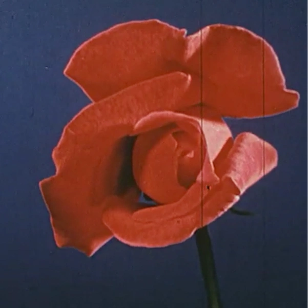 Voyager project image 20