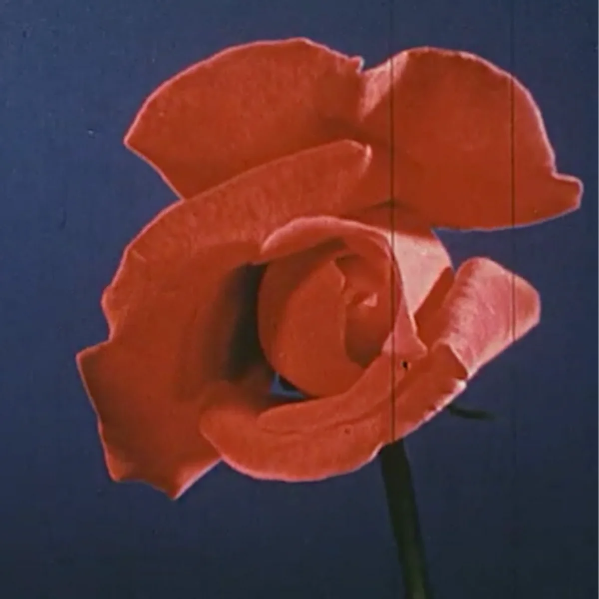 Voyager project image 20