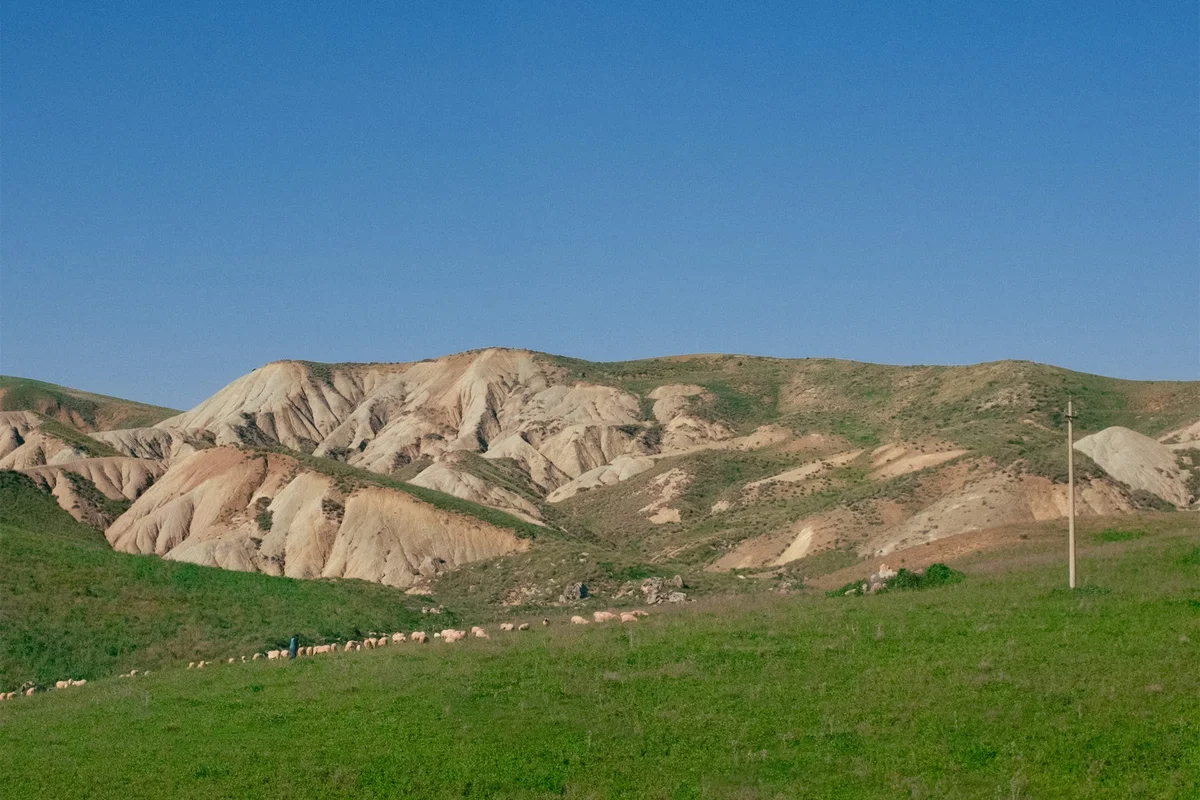 Fishing boats at dawn